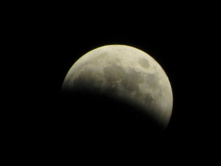 Staring at the Moon and Impending&nbsp;Spring